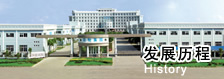 发展历程